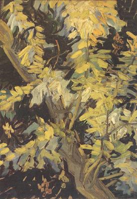 Blossoming Acaia Branches (nn04), Vincent Van Gogh